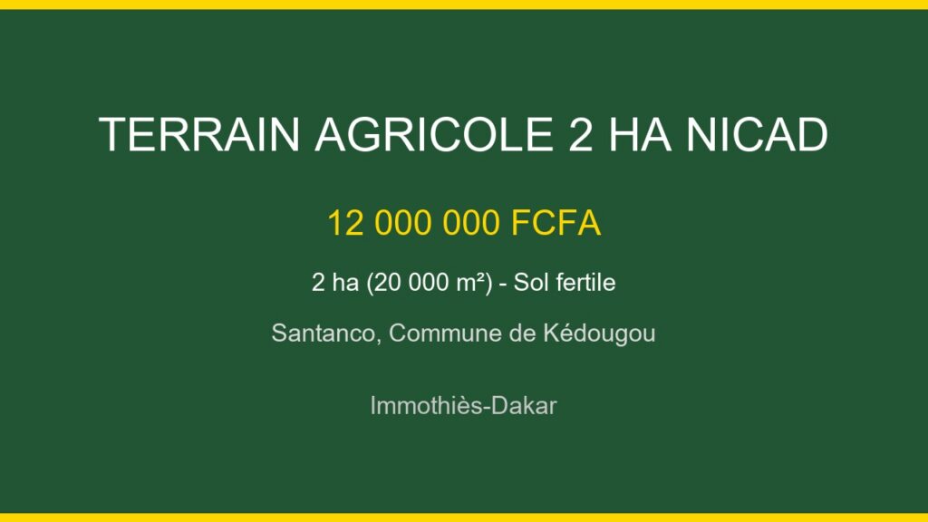 Terrain agricole de 2 ha avec NICAD à Santanco, Département de Kédougou
